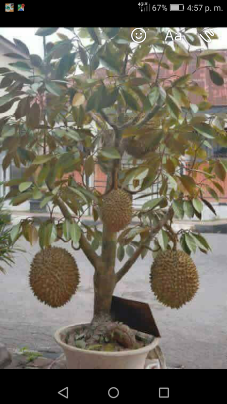 Screenshot_2017-07-30-16-57-12