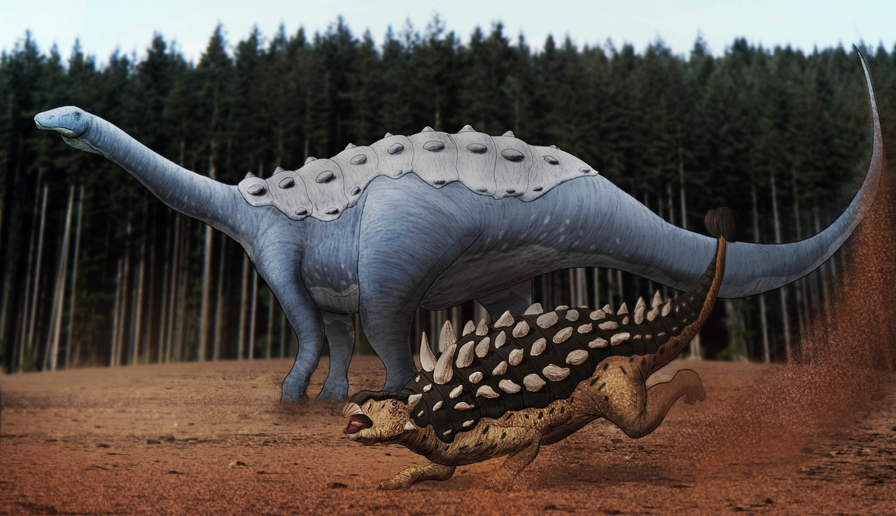 paulo-leite-saltasaurus-3