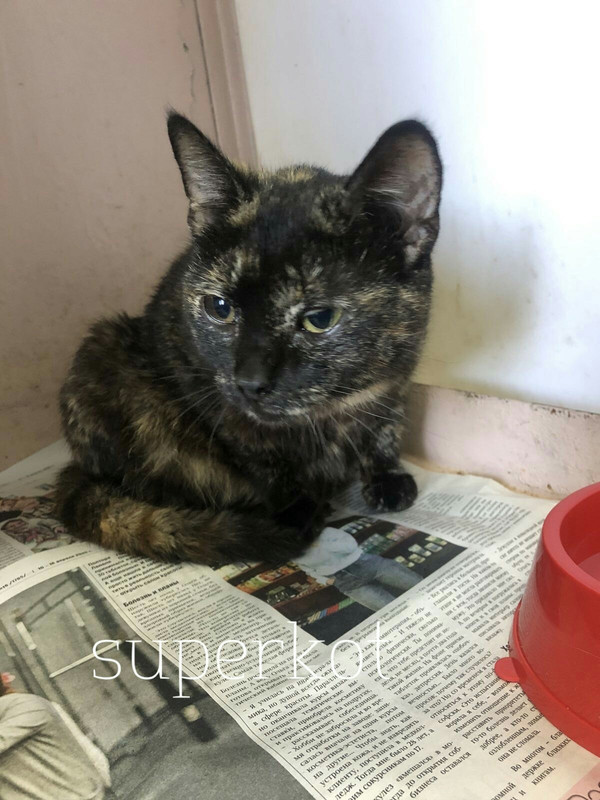 663C970B-A6F8-46B9-ABF9-2756D19BC8BA