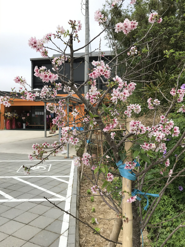 0CEDD7B3-4F91-4BBD-91D5-D1E5F6785DA3