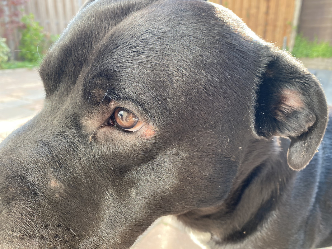 55F9C104-CB04-4A35-9DCD-0B2B21CBF331