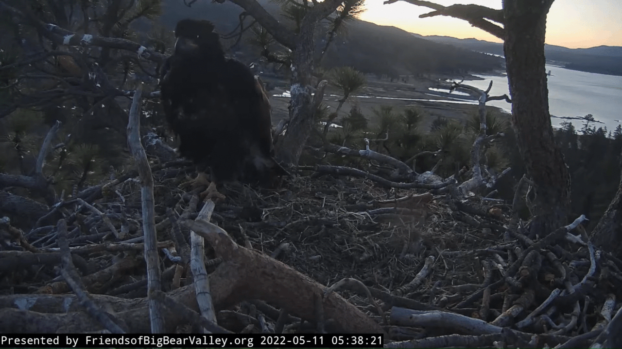 Webp.net-gifmaker (2)