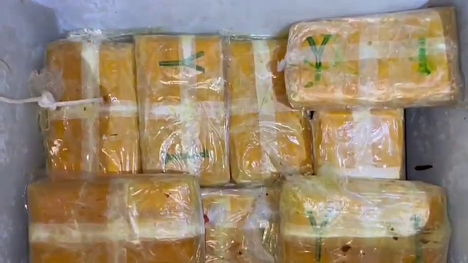 vlcsnap-2025-09-22-21h33m19s626