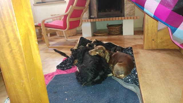 [Image: Retour-Promenade-Matin.jpg]