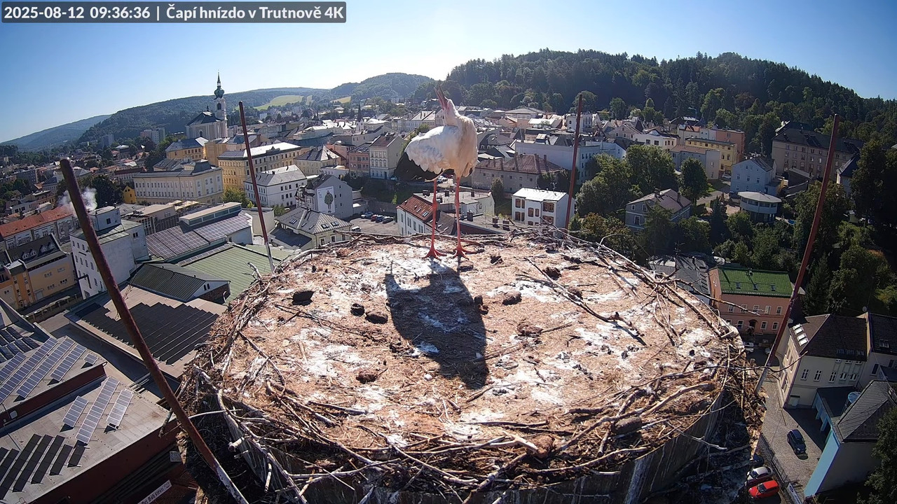 Tiešraide no stārķa ligzdas uz alus darītavas skursteņa Trutnovā 13-54-31 screenshot