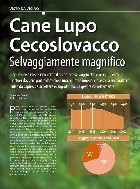 Il M C Dic 2023-Gen 2024 (9)