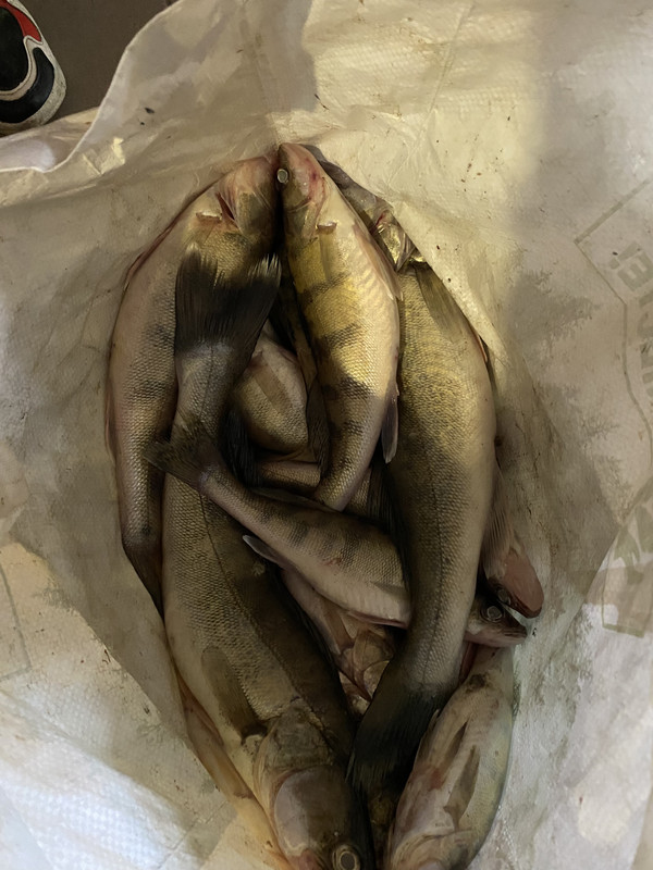 BB01EAB3-09E2-4B15-A8A8-A1D1446ED9BE