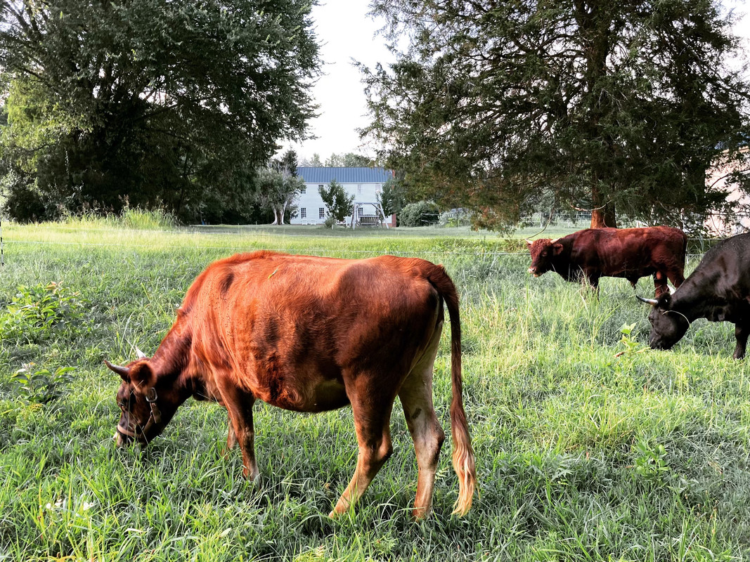 6728FDE2-BDE2-4E0C-97AF-C7E7159496E1