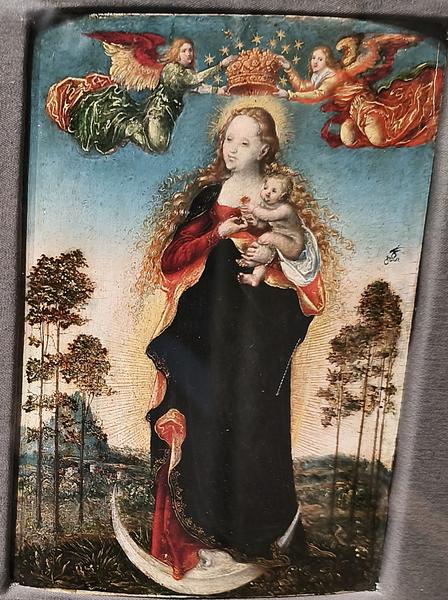 Milán-Turín-Génova-Pavía - Blogs de Italia - Pavía: la famosa batalla y sus torres medievales (141)