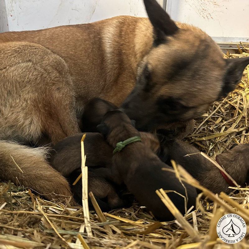 31671A62-EB48-4232-8DEE-B2A57ABA75D0