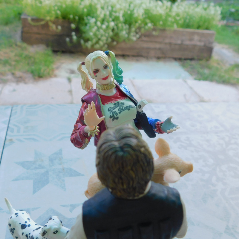 Дачно-Харлинский июнь-июль 2024 300