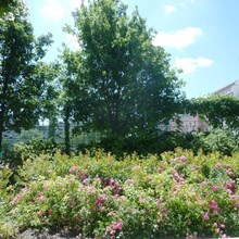 Adelheid-Popp-Park