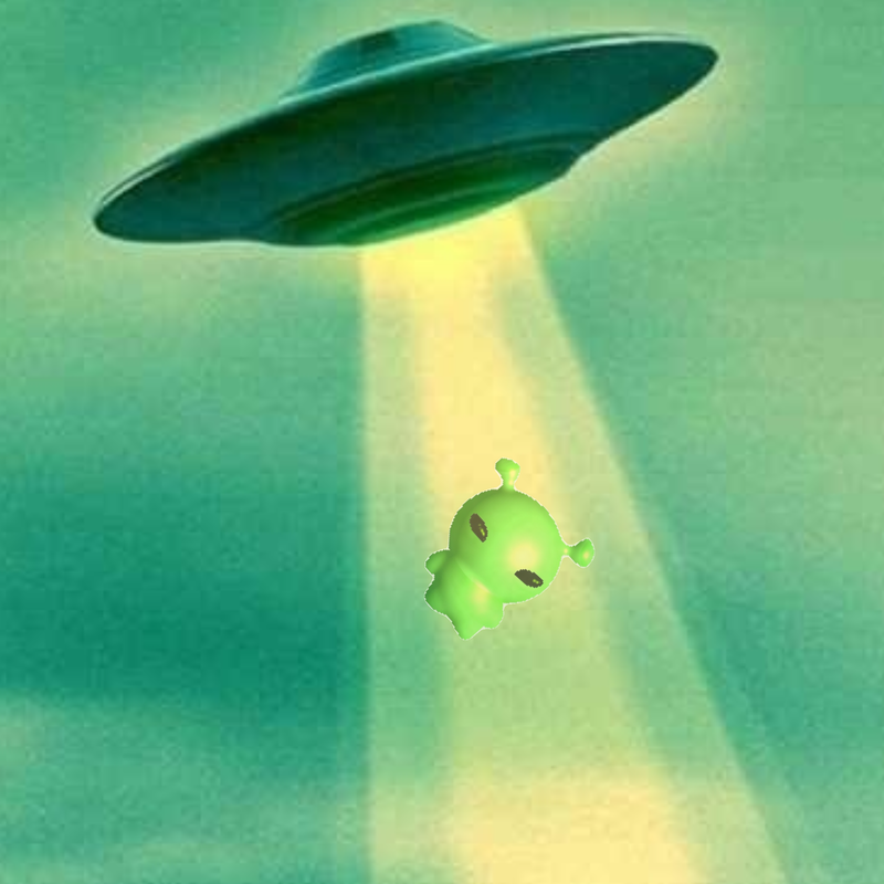 Bienvenida