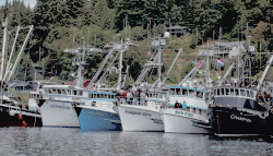 harborward (3)
