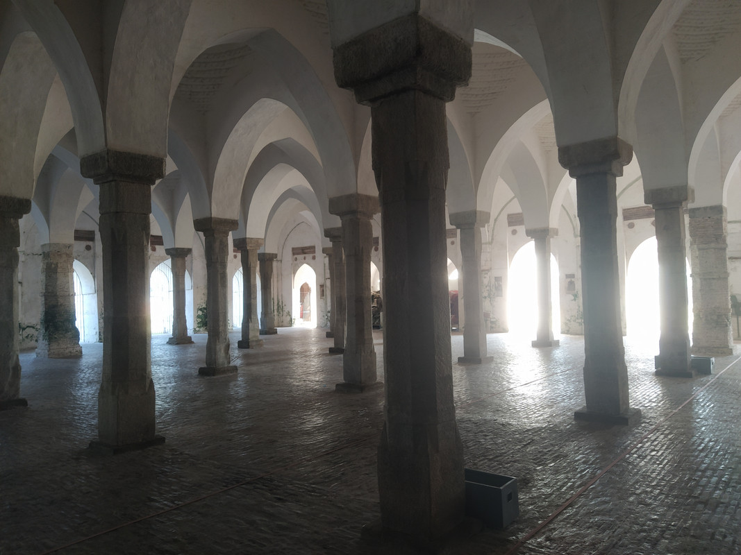 Бенгальский фьюжн с коровами на деревьях, или Бангладеш в обрамлении двух Индий