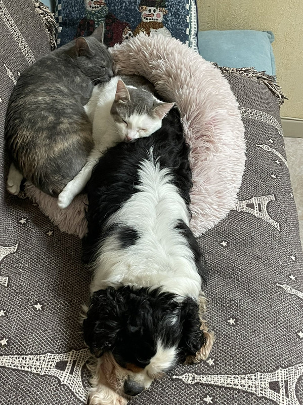 193D20C0-8B98-4399-B50F-DA6B50C250B7