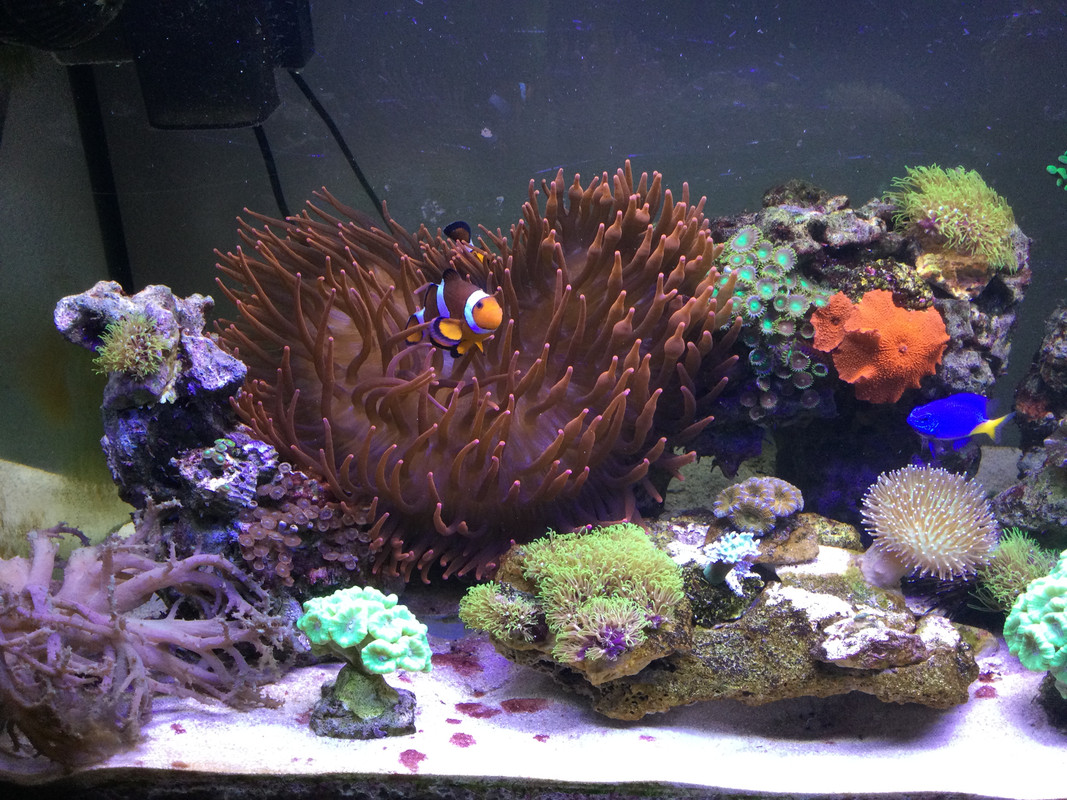 EA53788B-4B8F-4904-96B7-0B84E9762138