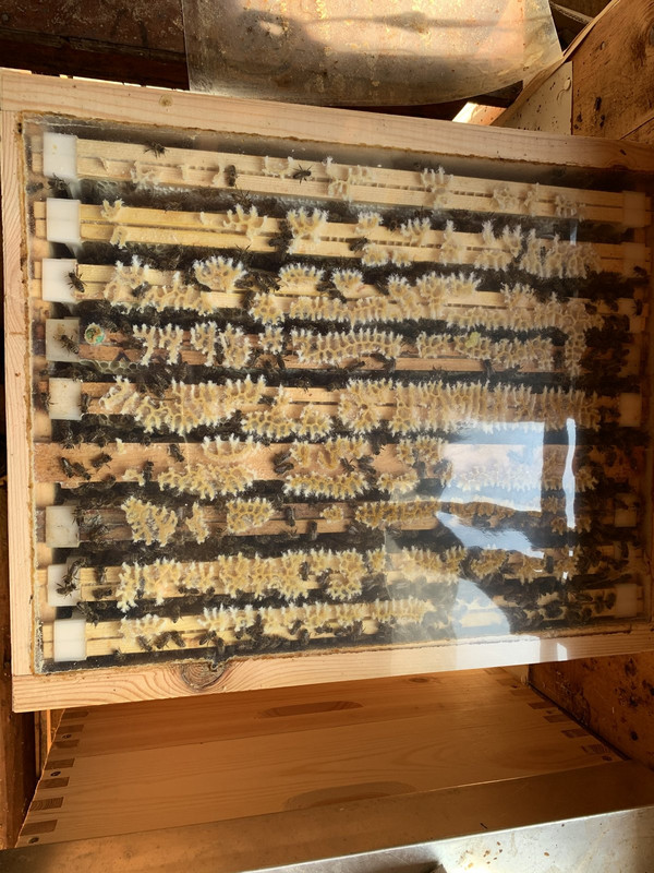 5D495248-0F4A-4DEB-9FB7-DB2229568D41