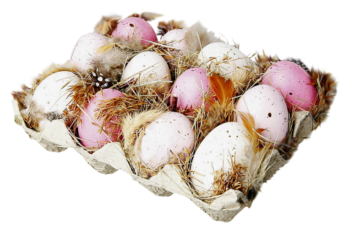 Yk-Easter is Coming  (50)
