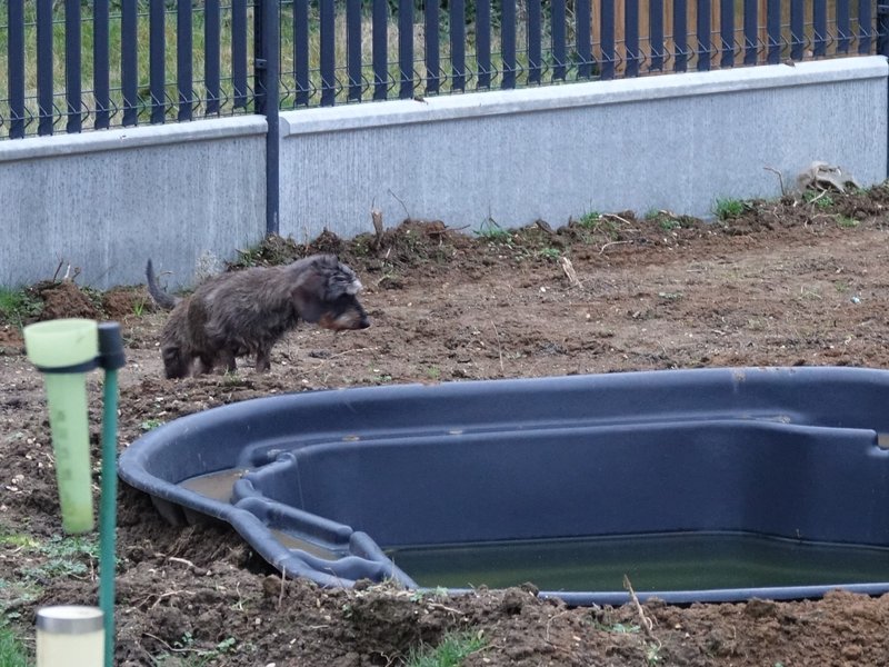 [Image: DSC00695.jpg]