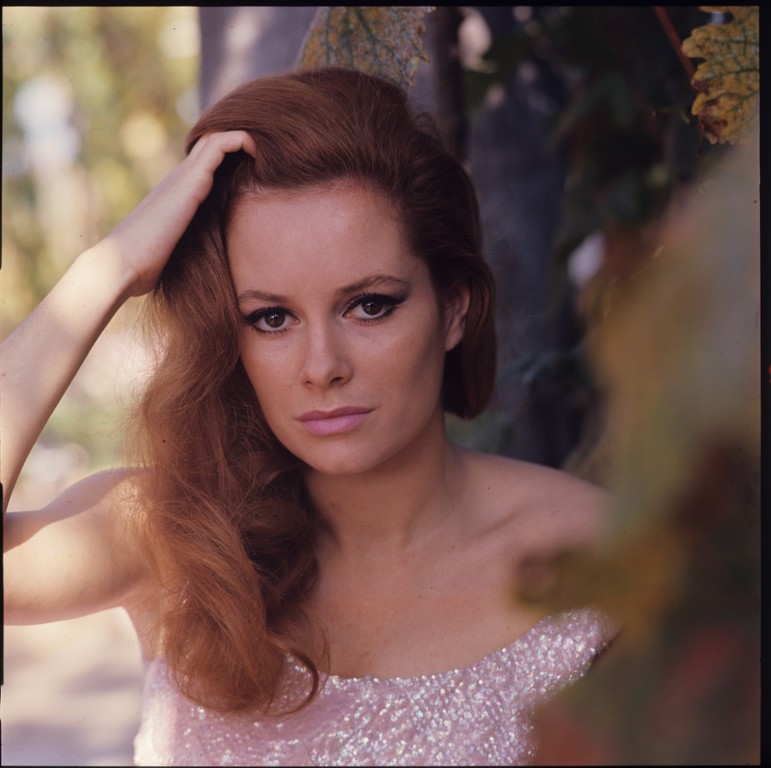 luciana_paluzzi_a41