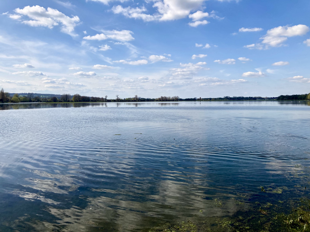 1BFAF84F-AEE4-467C-A833-3807EE18F9AD