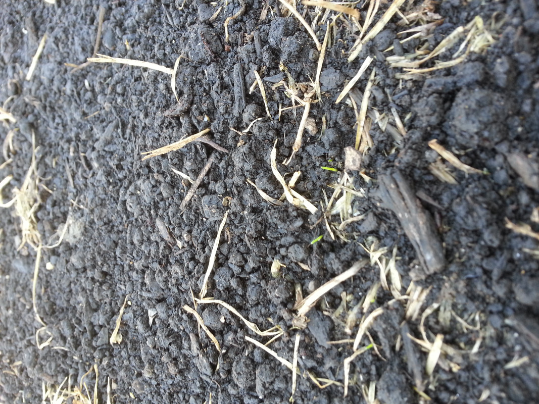 tmp_20140816_101118-69794818