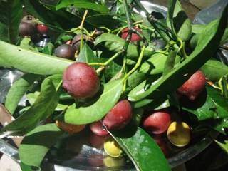 19197446_1352272614828311_1948321422_o