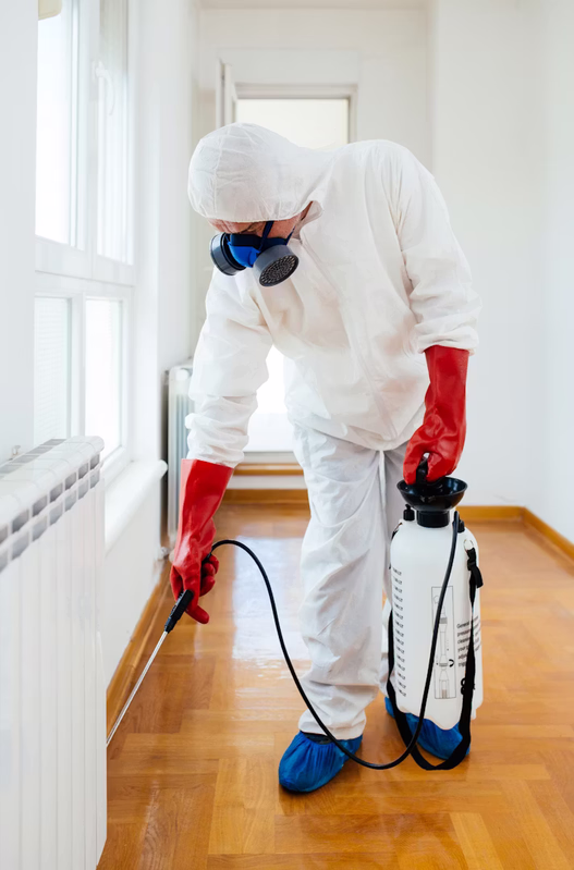 Elite Pest Protection