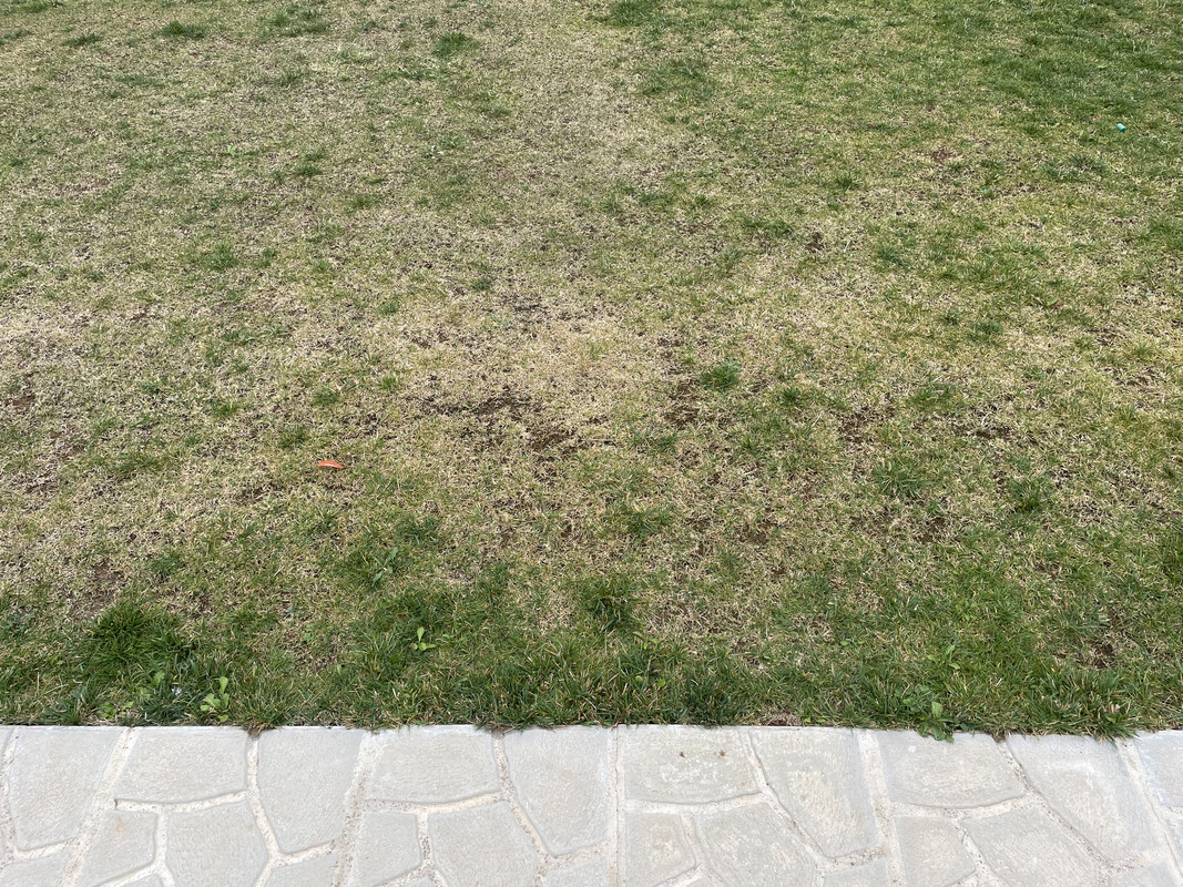 19053EE4-EA65-431C-B3EA-E1FC20338E8A