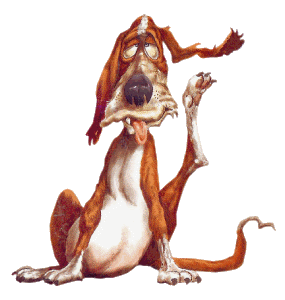 ItchyDog