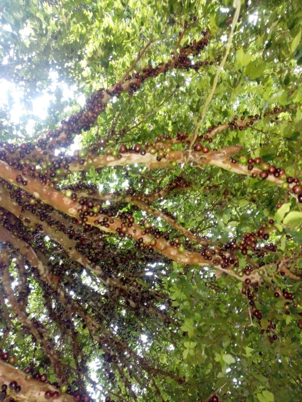 WhatsApp Image 2020-12-20 at 00.10.49 (13)