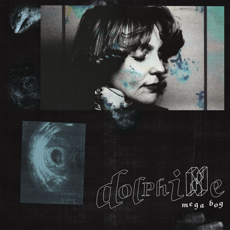 Mega Bog - Dolphine (2019) .mp3 -320 Kbps