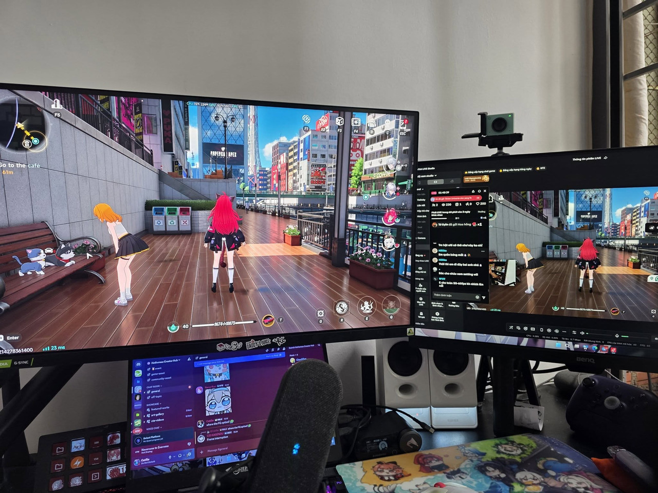 Catfie Stream Desk Setup