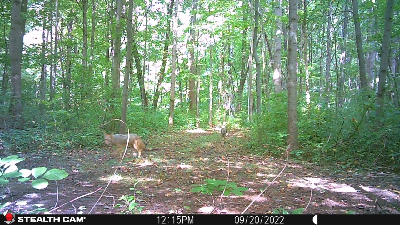 Resized_STC_0031_33924679349088