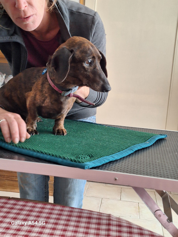 [Image: 20240702-165820.jpg]