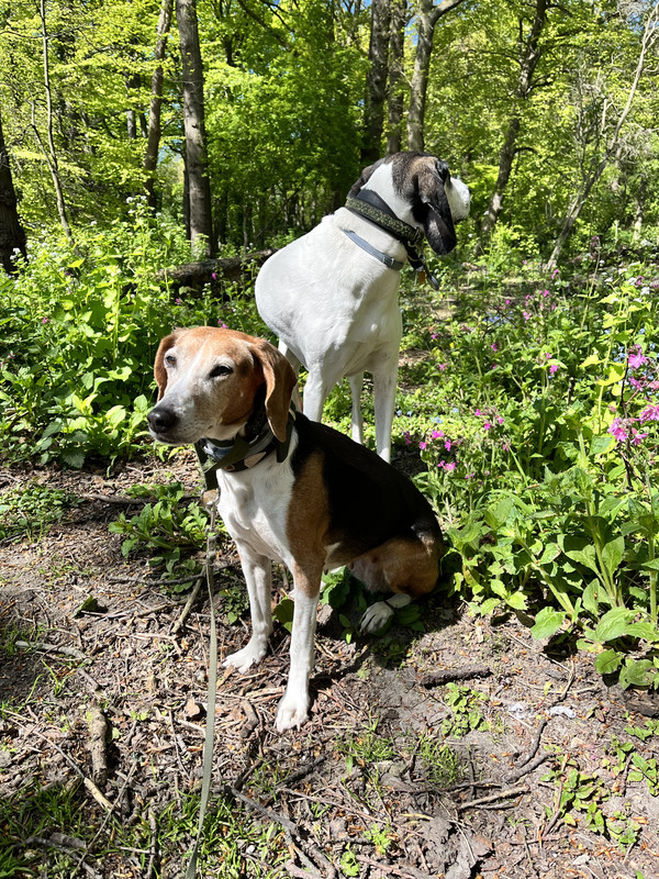 91DB914F-EF5F-4687-8BB7-251B6A5E2A63