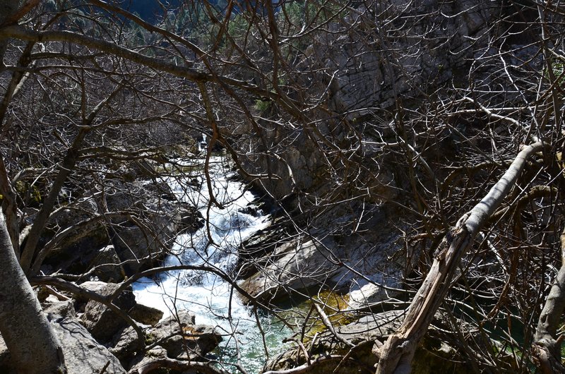 RUTA RIO BOROSA-12-3-2016-JAEN - Paseando por España-1991/2016 (73)