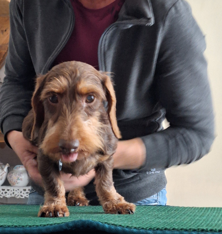 [Image: 20240702-164056.jpg]