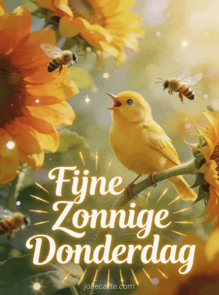 fijne-zonnige-donderdag.gif