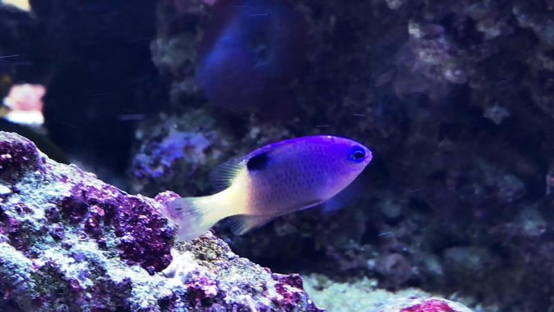 36F8E7C0-8649-42F9-821A-E25AA93465A2