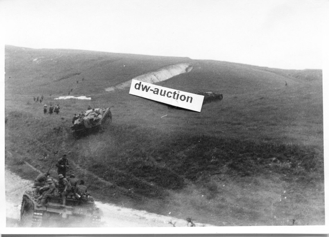 Sturmgeschütz Abt. 243 , Einsatz vor Stalingrad