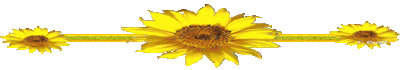 131620-UWc6sq7j.gif