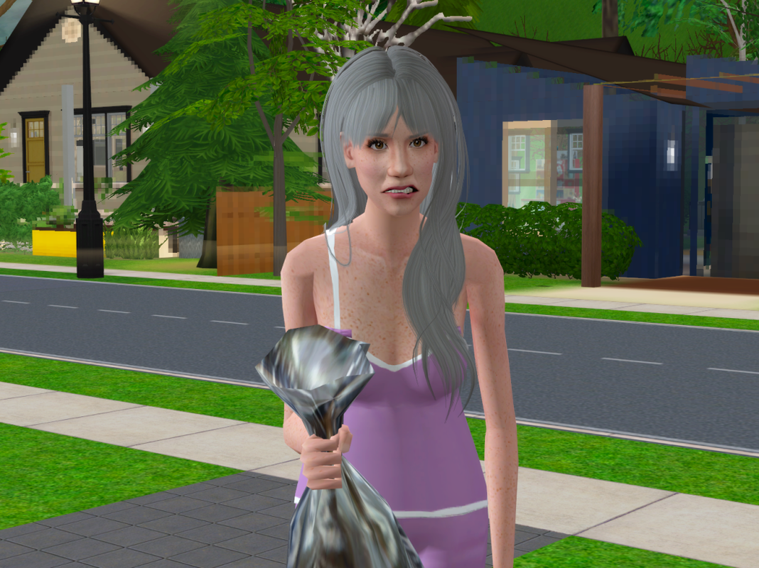 Sims2-EP9-RPC-2022-11-03-18-04-43-65