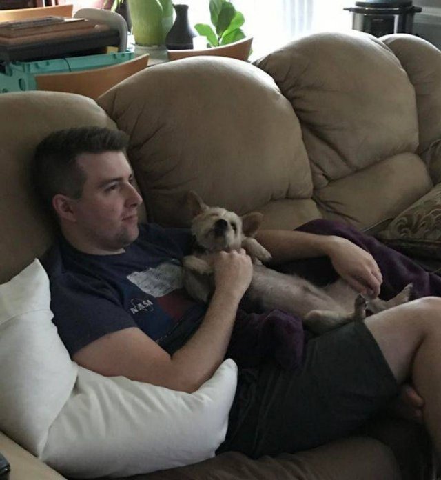 Pets-21