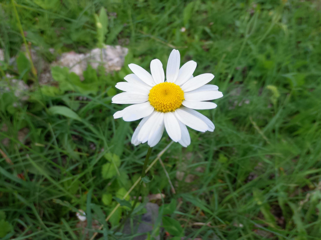 356112405-664385951810034-45483426979139