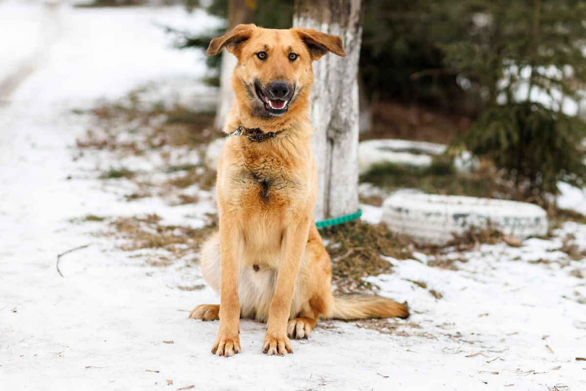 RRDaPGIDaq6DTzmuK1VD5I6-oJ6NM_5LaKHvBzPB3gadh_u7j9bLkptoHq0b5Kpwt6JT-lMFRGBY1hzsjCBJZA==?uid=0&filen