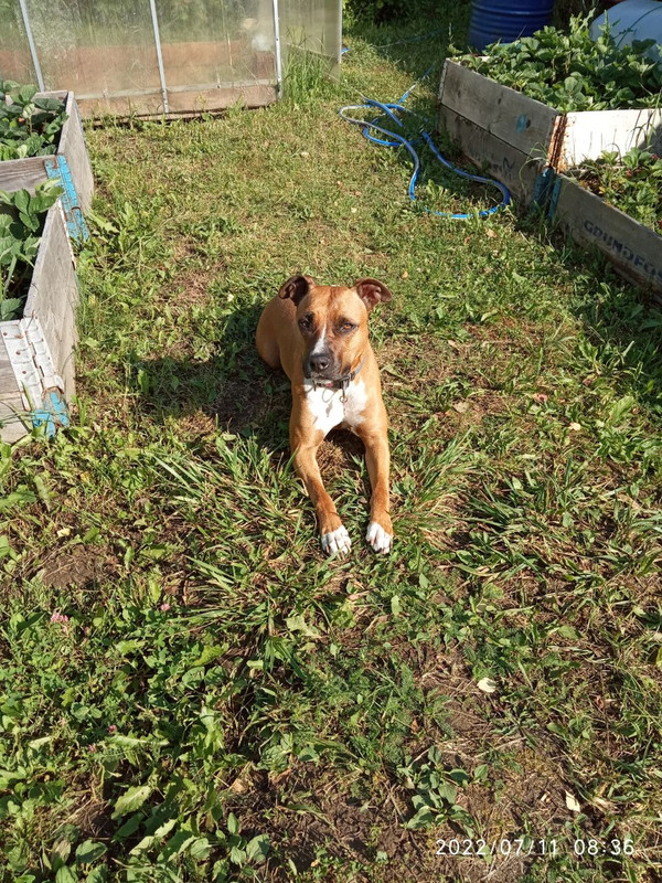 20879A13-40A1-42D0-9B18-F68BBA65218E