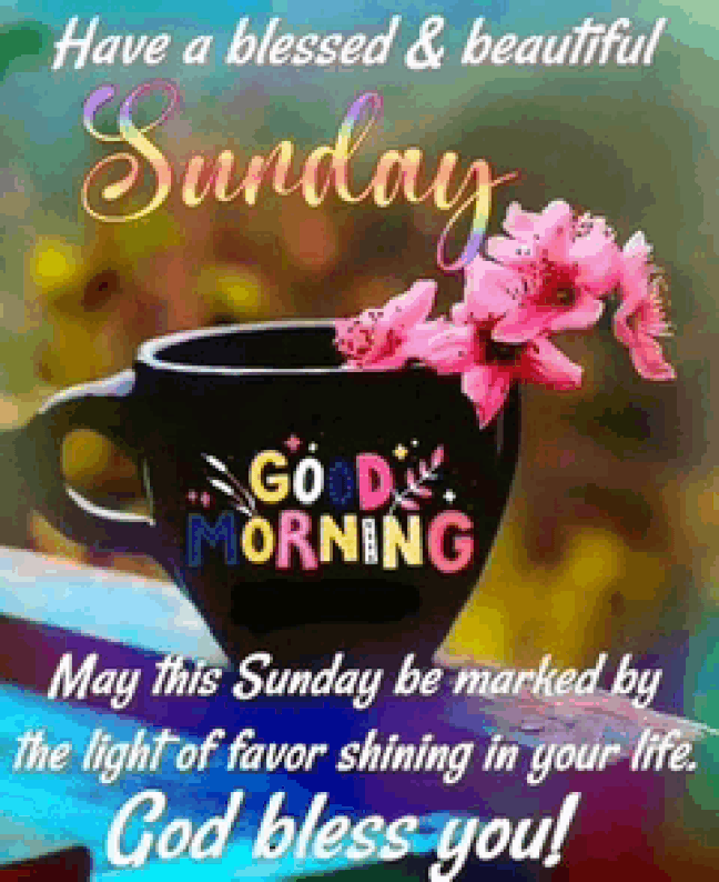 An den Beitrag angehängtes Bild: https://i.postimg.cc/FRxVwXNc/oie-983074gc-MCE9I.gif