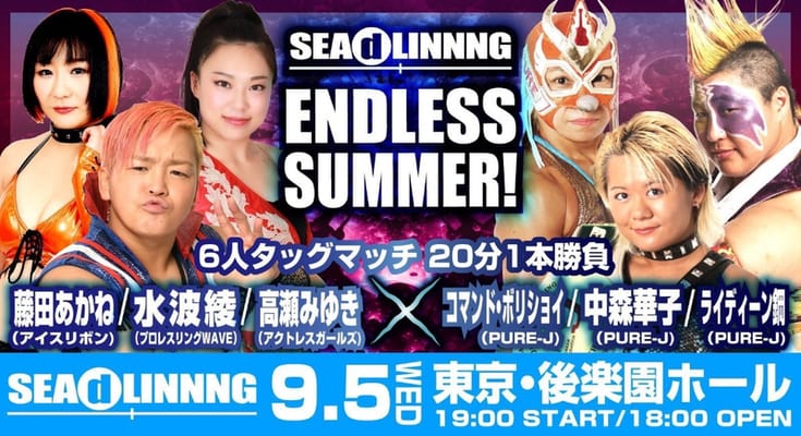 SEAdLINNNG 2019 09 18 Endless Summer 720p